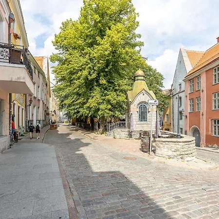 5stories Luxury Space In Old Town With Care * Tallinn