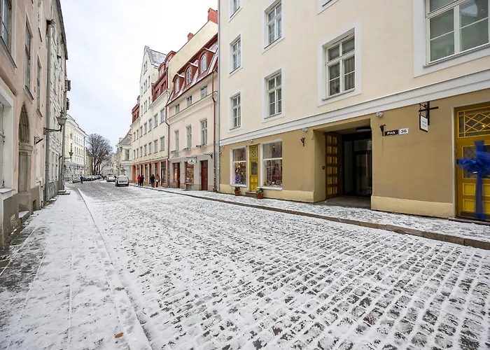 5stories Luxury Space In Old Town With Care * 塔林